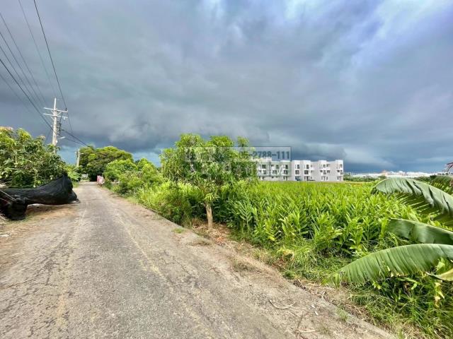 嘉義西區農地-1