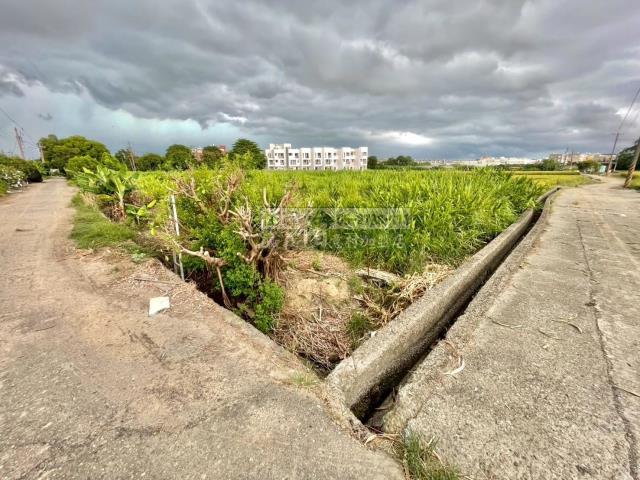 嘉義西區農地-2