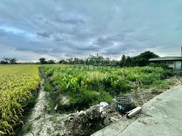 嘉義西區農地-3