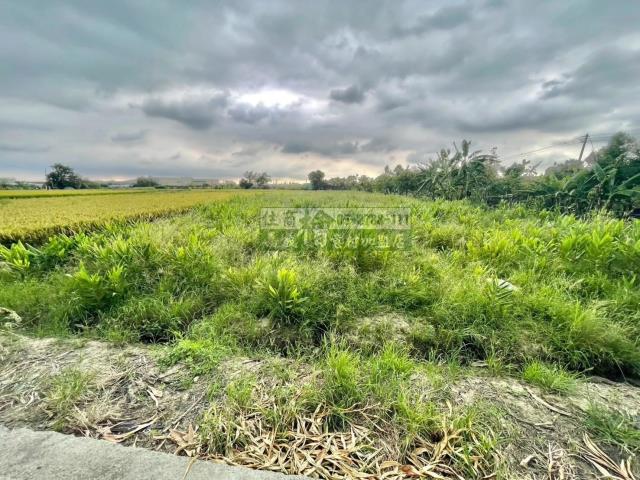 嘉義西區農地-4