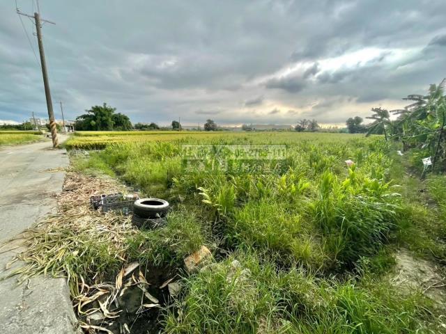 嘉義西區農地-5