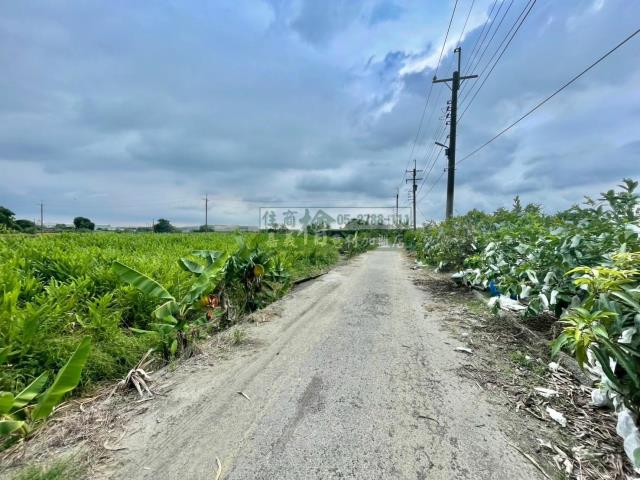 嘉義西區農地-8