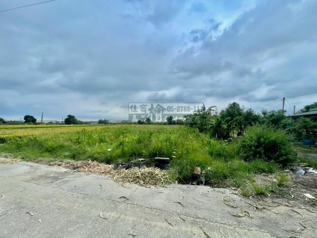 嘉義西區農地-9