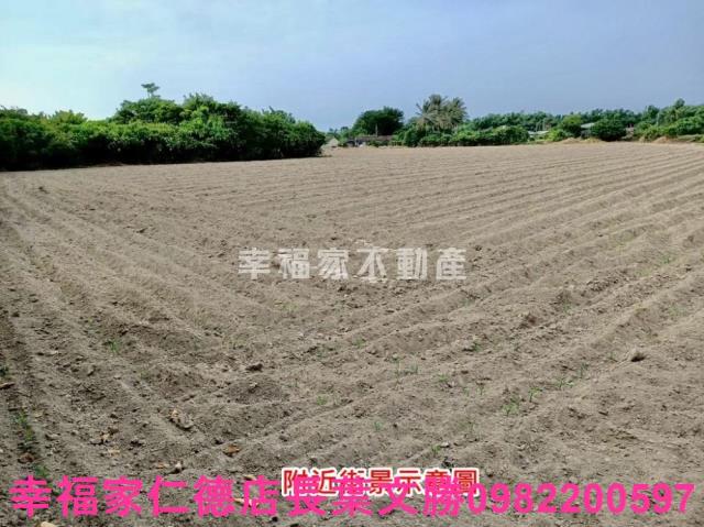佳里農地-4