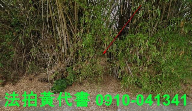 嘉義溪口建地法拍-1