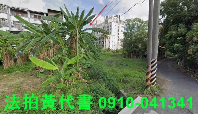 善化法拍建地-14