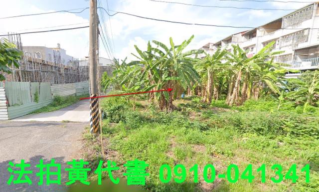 善化法拍建地-4