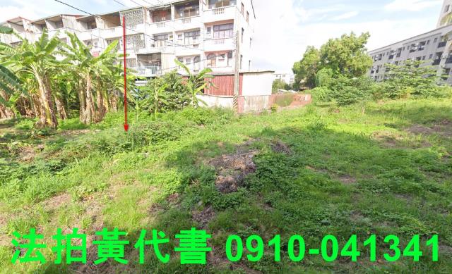 善化法拍建地-9