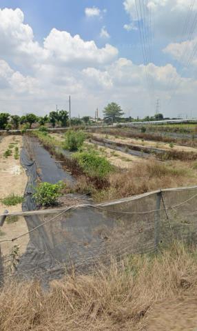 台南農地法拍-11