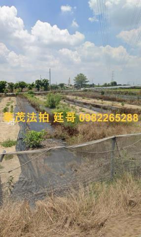 台南農地法拍-5