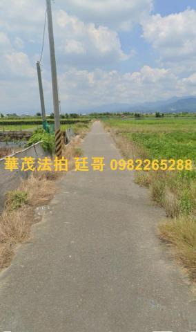 台南農地法拍-6