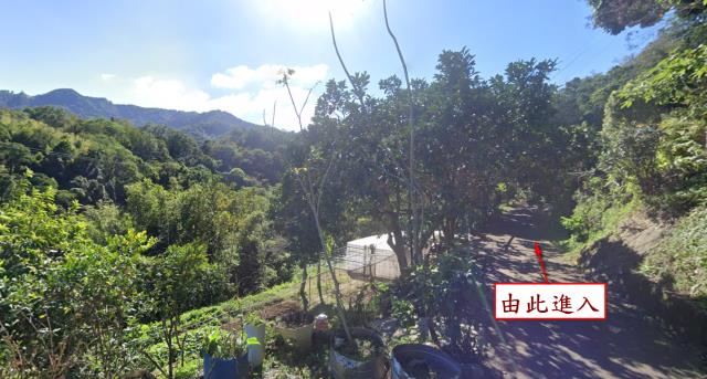 橫山農地法拍-6