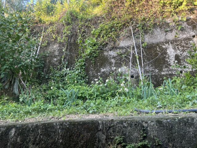 台中東勢農地-10