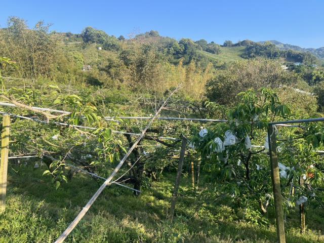 台中東勢農地-11