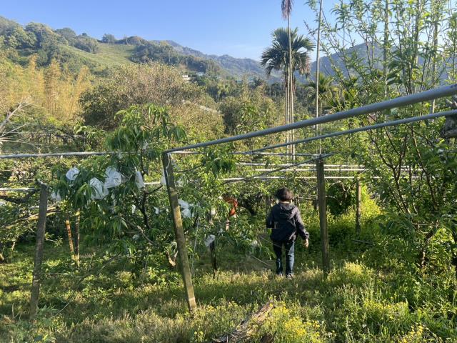 台中東勢農地-12