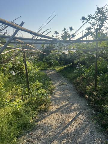 台中東勢農地-13