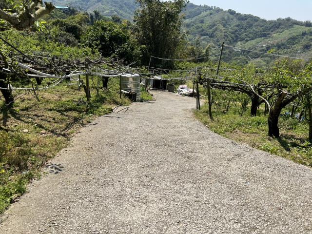 台中東勢農地-2