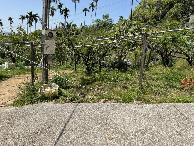 台中東勢農地-3