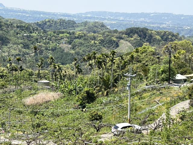 台中東勢農地-4