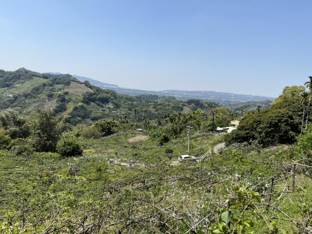 台中東勢農地-5