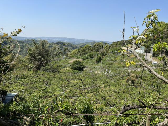 台中東勢農地-7