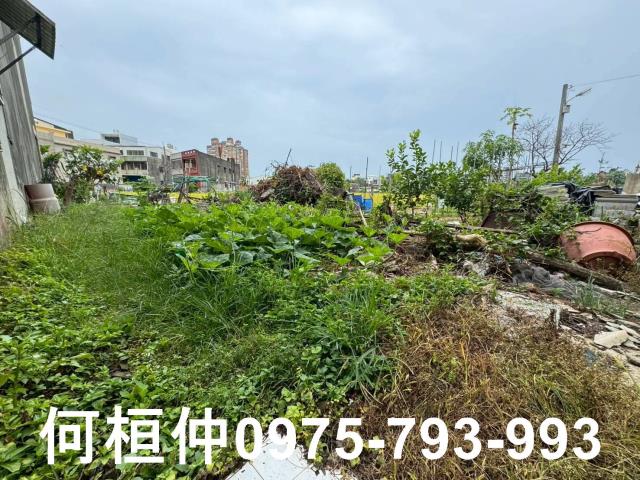 竹南建地-1