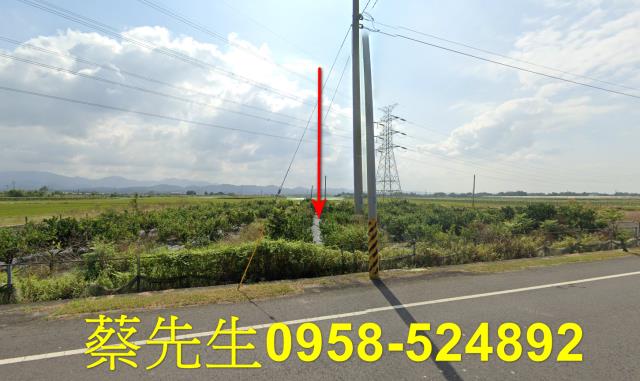 台南東山農地拍賣-1