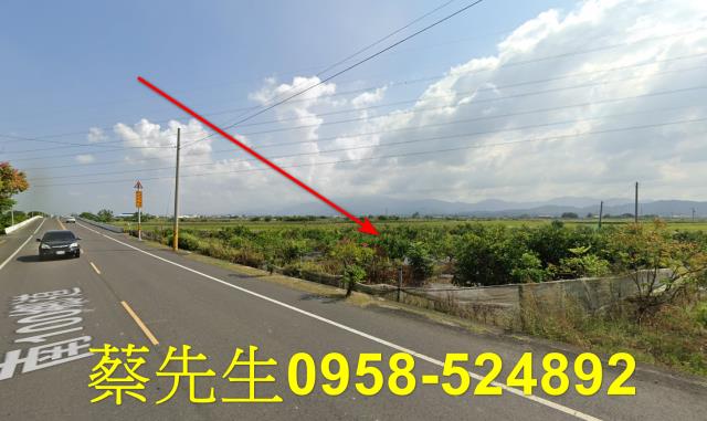 台南東山農地拍賣-6
