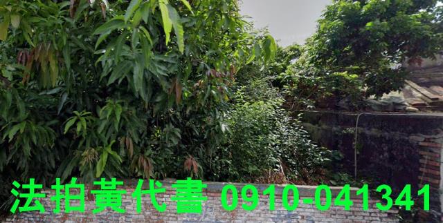高雄建地法拍-2