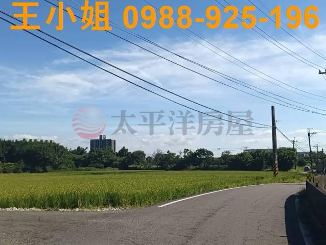 桃園大園農地-3