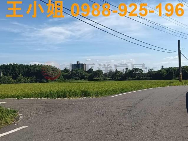 桃園大園農地-4