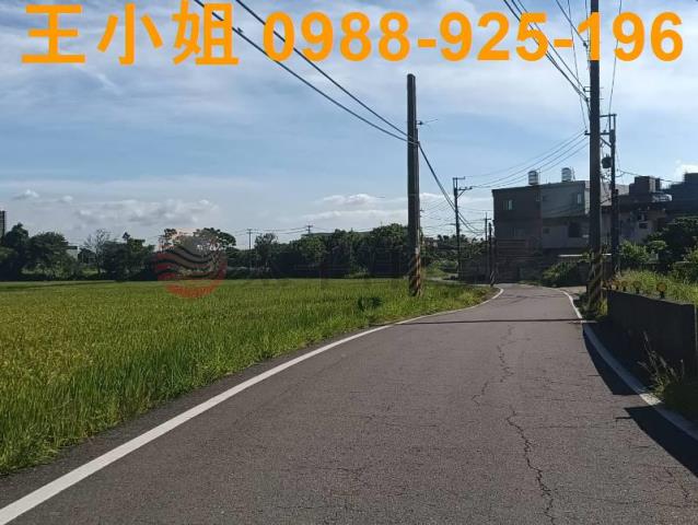 桃園大園農地-5