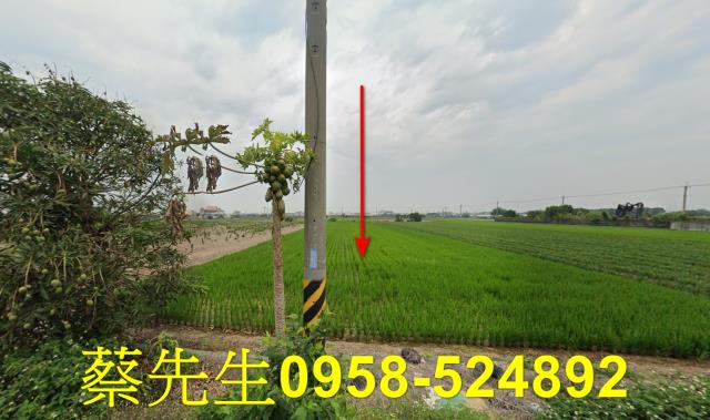 溪湖農地法拍-9