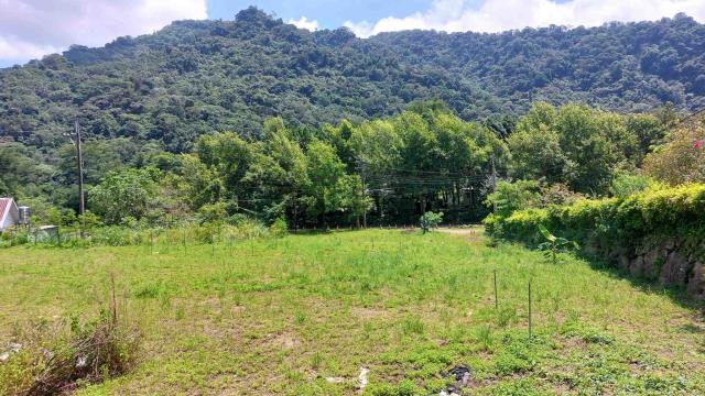 新竹橫山農地-2