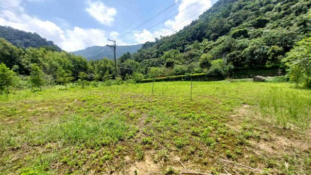 新竹橫山農地-3