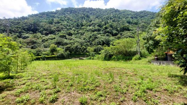 新竹橫山農地-4