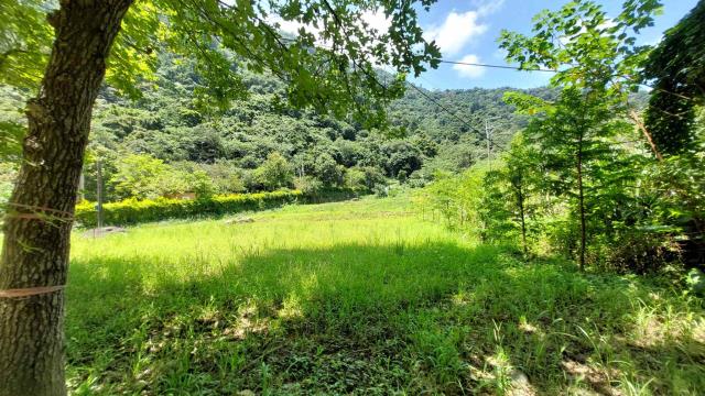 新竹橫山農地-9