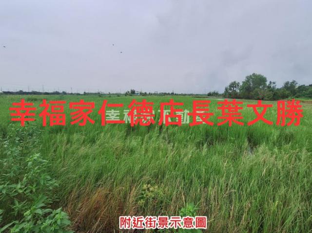 台南新營農地-1