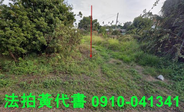 東區農地法拍-1
