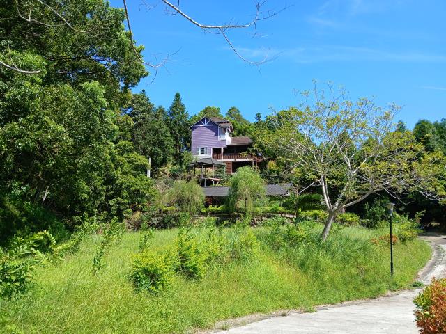 新竹橫山農地-3