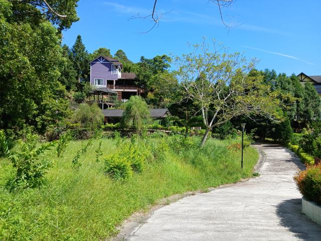 新竹橫山農地-4