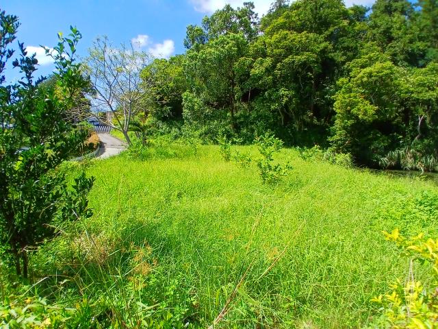 新竹橫山農地-7