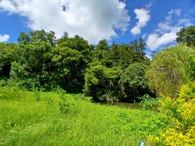 新竹橫山農地-8