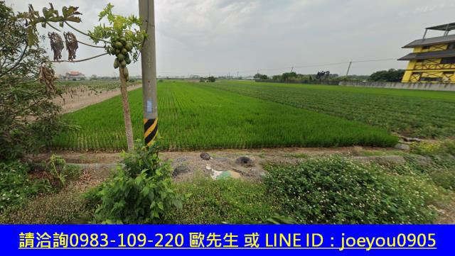 溪湖法拍農地-4