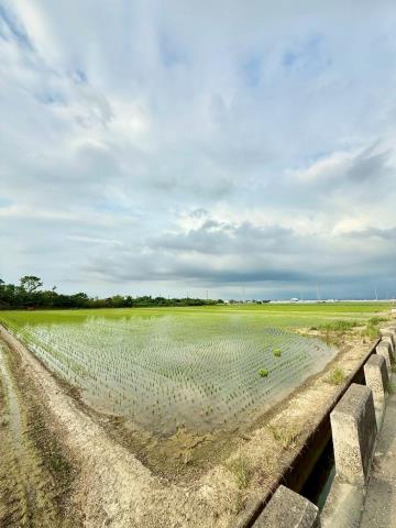 嘉義民雄農地-1