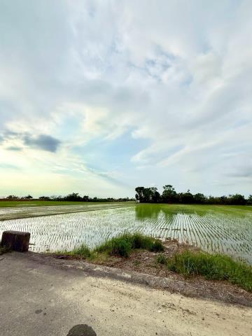嘉義民雄農地-2