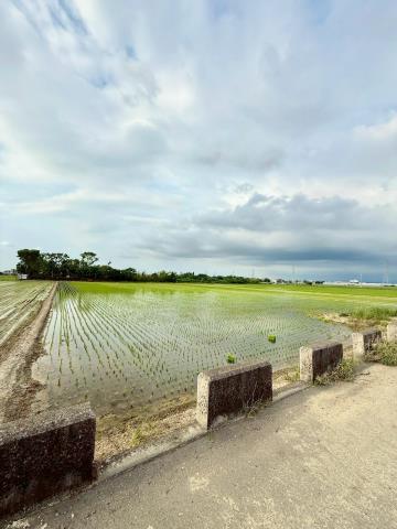 嘉義民雄農地-3