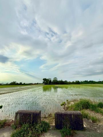 嘉義民雄農地-4