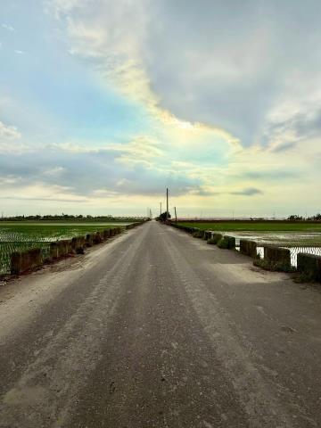 嘉義民雄農地-6