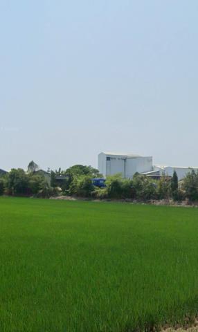 白河農地法拍-8